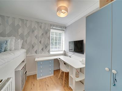 Picture 17